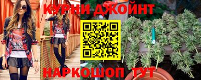 сатива Лесосибирск