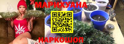 сатива Лесосибирск