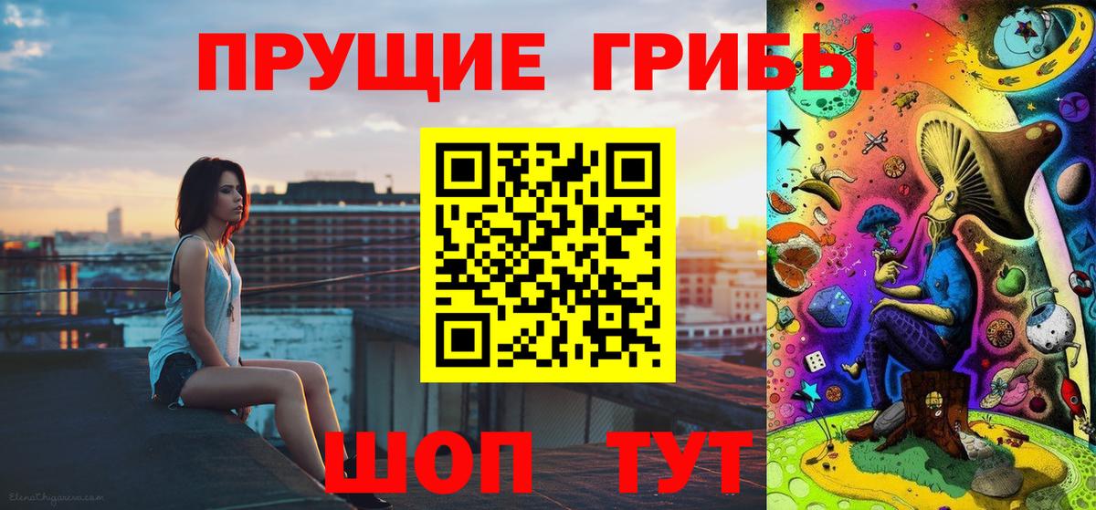 Галлюциногенные грибы Cubensis  Псилоцибиновые грибы Psilocybine cubensis  Фурманов  Вход с VPN 